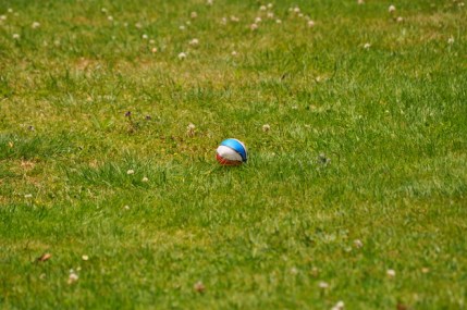 Ball