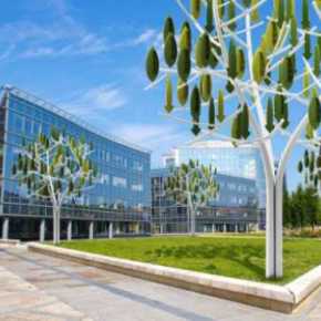 Arrivano gli Alberi del&nbsp;Vento